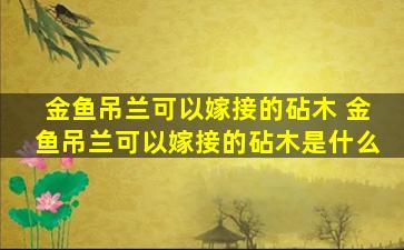 金鱼吊兰可以嫁接的砧木 金鱼吊兰可以嫁接的砧木是什么